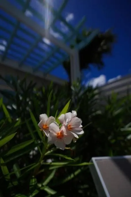 Meraki Casita - A Charming Boutique Vacation Rental Palm Beach Apartment